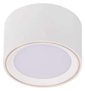 Nordlux - LED Stmívatelné bodové svítidlo FALLON LED/5,5W/230V bílá