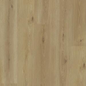 V-podlahy Experto LVT 55 Dub Citi 8196L-005 4,1806 m2