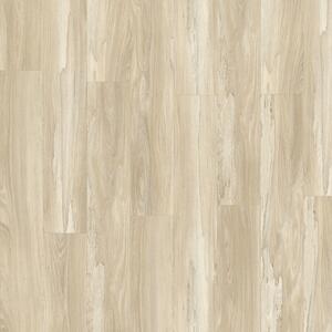 IVC Group Moduleo Roots 55 Marsh Wood 22326 3,622 m2