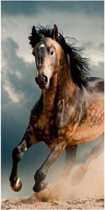 Faro Bavlněná froté osuška HORSE 70x140 cm vícebarevná