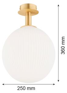 Argon 8505 - Stropní svítidlo PALOMA 1xE27/15W/230V zlatá/bílá
