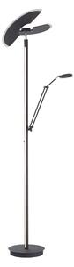 LED STOJACÍ LAMPA, 87/44/202 cm XXXL