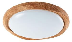 LED Stmívatelné stropní svítidlo LED/60W/230V 3000-6500K + DO