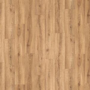 IVC Group Whiteline Sorbonne 534 - 2m 1 m²