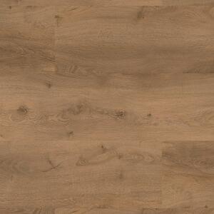 Floor Forever Authentic Oak Click Rigid Dub Císařský 1040