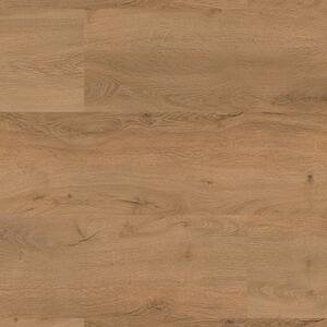 Floor Forever Authentic Oak Click Rigid Dub Královský 1020