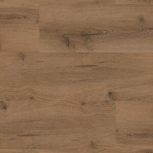 Floor Forever Authentic Oak Click Rigid Dub Vévodský 2040