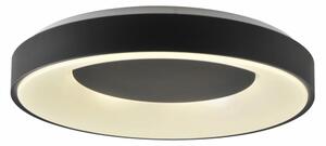 LED Stmívatelné stropní svítidlo WITOLD LED/48W/230V 3000-6000K + DO