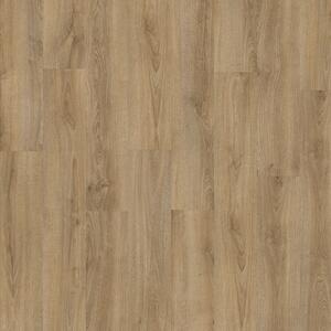 Articon C40 Rigid Acoustic Kentucky Oak 83847 2,12 m2
