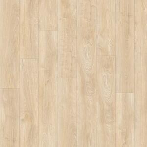 IVC Group AVVIO - Summerset Oak 22329 4,66 m2