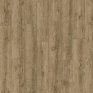 IVC Group AVVIO - Major Oak 24863 4,66 m2