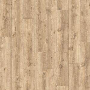 IVC Group AVVIO - Major Oak 24279 4,66 m2
