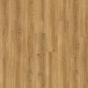 IVC Group AVVIO - Summer Oak 22565 4,66 m2