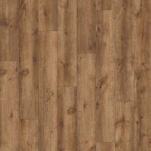 IVC Group AVVIO - Major Oak 24847 4,66 m2