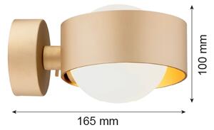 Argon 8567 - Koupelnové nástěnné svítidlo MASSIMO PLUS 1xG9/6W/230V zlatá