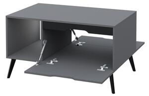 Konferenční stolek Motez, Barva dřeva: šedá / šedá + černá Mirjan24 5903211282034