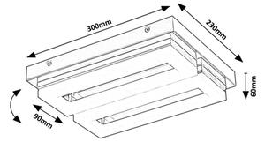 Rabalux 75020 - LED Koupelnové stropní svítidlo BLAS LED/24W/230V 4000K