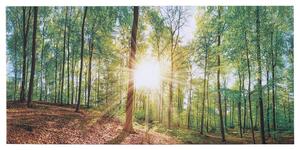 OBRAZ NA PLÁTNĚ, stromy, 115/55/3 cm Euroart - Obrazy na plátně