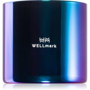 Wellmark Better Silk vonná svíčka 1 ks