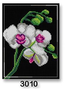 VTC Vyšívací předloha, obrázek na vyšívání 70246/3010 orchidea, bílo-černá, 18x24cm