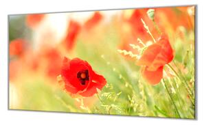 Ochranná deska květy vlčí máky na louce - 52x60cm / S lepením na zeď