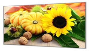 Ochranná deska dekorace podzimní plody - 40x60cm / S lepením na zeď