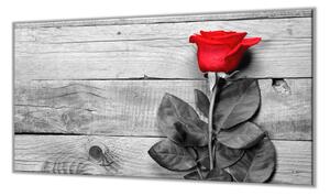 Ochranná deska červená růže na šedých prknech - 52x60cm / S lepením na zeď
