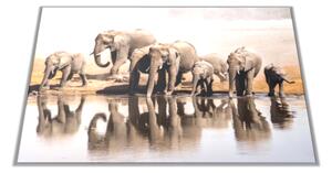Skleněné prkénko s fotkou stádo slonů - 30x20cm