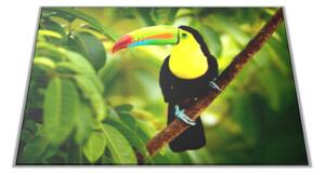 Skleněné prkénko s motivem papoušek tukan - 30x20cm