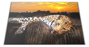 Skleněné prkénko šelma leopard v západu slunce - 30x20cm
