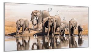 Nástěnné hodiny 30x60cm stádo slonů - kalené sklo