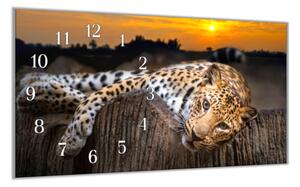Nástěnné hodiny 30x60cm leopard v západu slunce - plexi
