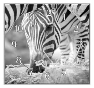 Nástěnné hodiny 30x30cm černobílá zebra - plexi