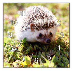 Nástěnné hodiny 30x30cm ježek na trávě - plexi