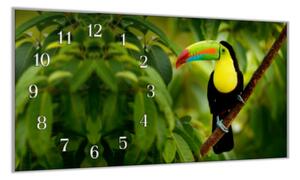 Nástěnné hodiny 30x60cm papoušek tukan - kalené sklo