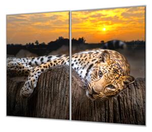 Ochranná deska leopard v západu slunce - 52x60cm / S lepením na zeď