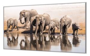 Ochranná deska ze skla stádo slonů - 52x60cm / S lepením na zeď