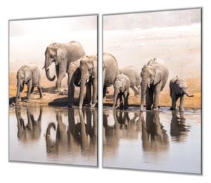 Ochranná deska ze skla stádo slonů - 52x60cm / S lepením na zeď
