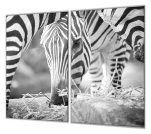 Ochranná deska s motivem černobílá zebra - 40x60cm / Bez lepení na zeď