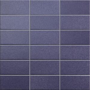 APPIANI Obklad keramická fialová Mozaika 2011 ANEMONE 50 5x10 (30x30) cm - MOS2011