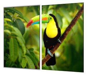 Ochranná deska sklo papoušek tukan - 40x40cm / Bez lepení na zeď