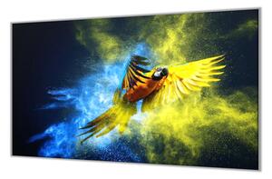 Ochranná deska papoušek Ara Ararauna - 52x60cm / S lepením na zeď
