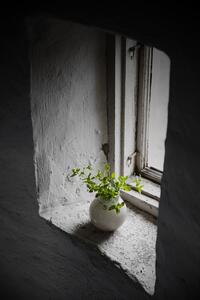 Skleněná váza Ernst White - 14 cm EF395