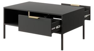 Konferenční stolek Botkow 2S, Barva: antracit / antracit + zlatá Mirjan24 5903211252273