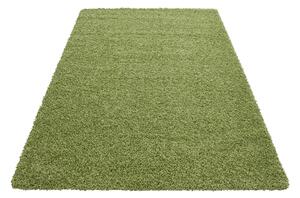 Kusový koberec Dream Shaggy 4000 green 120x170 cm