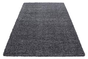 Kusový koberec Dream Shaggy 4000 grey 80x150 cm