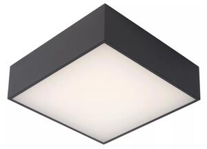 Lucide 27816/10/29 - LED Koupelnové stropní svítidlo ROXANE LED/12W/230V IP54