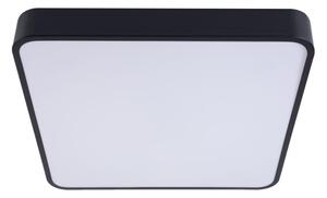 LED Stropní svítidlo FELIZ LED/50W/230V 4000K 40x60 cm černá