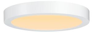 Paulmann 79799 - LED/19W Stropní svítidlo CARPO 230V 2300/2500/3000K