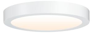 Paulmann 79799 - LED/19W Stropní svítidlo CARPO 230V 2300/2500/3000K